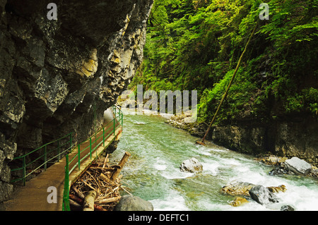 Breitachklamm Gorge, Allgau, Baviera, Germania, Europa Foto Stock