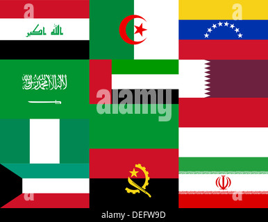 Bandiere nazionali dei paesi dell'OPEC Foto Stock