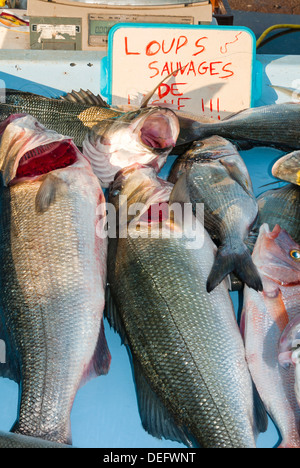 Domenica il mercato del pesce a Vieux Port, Marseille, Bouches du Rhone, Provence-Alpes-Côte-d'Azur, in Francia, in Europa Foto Stock