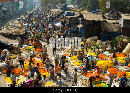 Armenia Ghat flower market, Kolkata (Calcutta), West Bengal, India, Asia Foto Stock