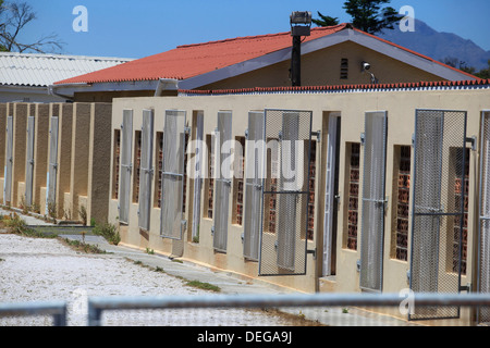 Nelson Mandela della cella di Robben Island, dove era tenuto prigioniero, vicino a Città del Capo, Sud Africa. Foto Stock