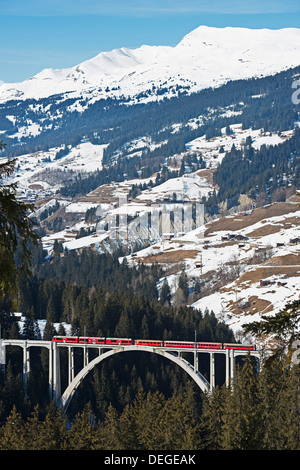 Ferrovia a scartamento ridotto, Langwieser viadotto, Arosa mountain resort, Grigioni, alpi svizzere, Svizzera, Europa Foto Stock