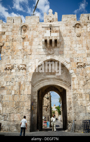 Il Cancello dei Leoni nella Città Vecchia, sito Patrimonio Mondiale dell'UNESCO, Gerusalemme, Israele, Medio Oriente Foto Stock