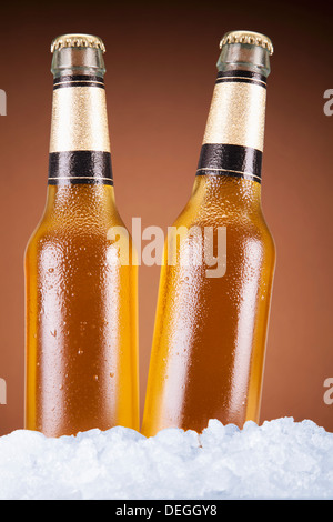 Due bottiglie di birra seduti sul ghiaccio su uno sfondo di colore marrone. Foto Stock