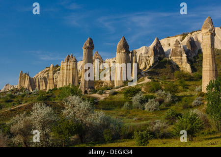 Camini di Fata in una valle vicino a Goreme, Cappadocia, Turchia Foto Stock