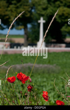 Poppies in Somme battlefield con British WWI cimitero di guerra in background Foto Stock