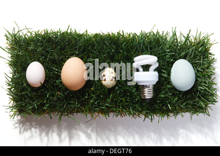 Uova e risparmio energetico lampadina sul piccolo prato Foto Stock