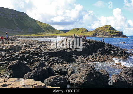 Giant's Causeway vicino a Bushmills, Antrim, Irlanda del Nord, Regno Unito. Foto Stock