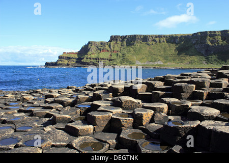 Giant's Causeway vicino a Bushmills, Antrim, Irlanda del Nord, Regno Unito. Foto Stock