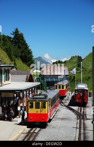 Tre Schynige Platte treni di attendere presso la stazione di vertice di Schynige Platte ferrovia. Foto Stock