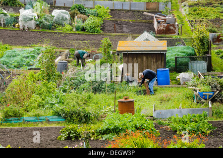 Gli uomini che lavorano sulle loro assegnazioni Foto Stock