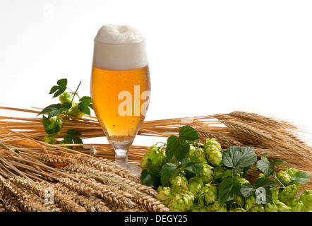 Birra e materie prime per la produzione di birra Foto Stock