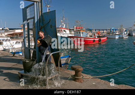 Porto di pesca, motril, granada-provincia, Andalusia, Spagna, Europa Foto Stock
