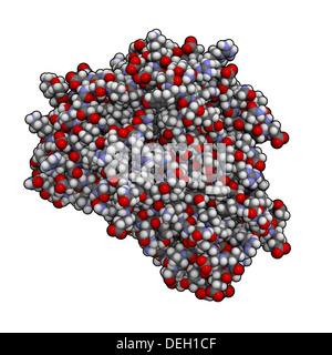 Fattore di necrosi tumorale (TNF, cachexin, cachectin), struttura chimica. Gioca un ruolo importante nell'infiammazione e immunità. Foto Stock