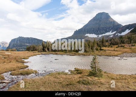 Questa piscina di acqua giace accanto a Mount Reynolds la Logan pass area. Foto Stock