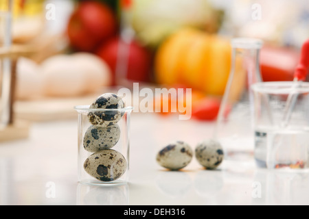 Uova di quaglia in recipienti di laboratorio Foto Stock