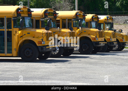 Linea di parcheggiato scuolabus Foto Stock