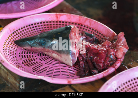 Shark testa per vendita a Jagalchi Mercato del Pesce, Busan, Corea del Sud Foto Stock