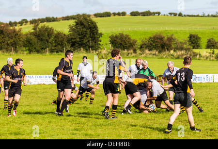 Rugby amatoriale, Ulster. Armoy V Letterkenny Foto Stock