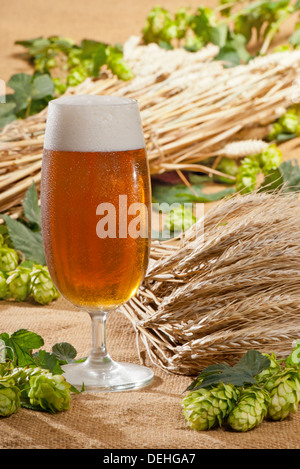 Birra e materie prime per la produzione di birra Foto Stock