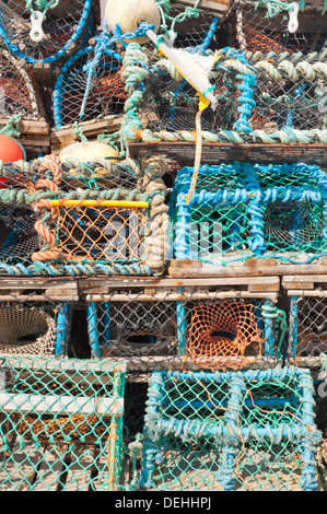 Granchi e aragoste bicchieri impilati sul quay. Foto Stock