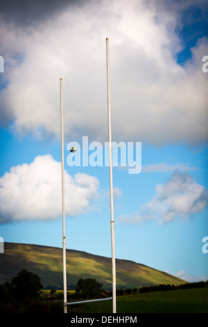 Rugby amatoriale, Ulster. Armoy V Letterkenny Foto Stock