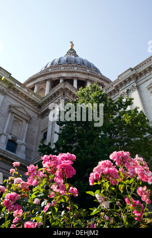 Vista da sotto la cattedrale di St. Paul, Londra Foto Stock