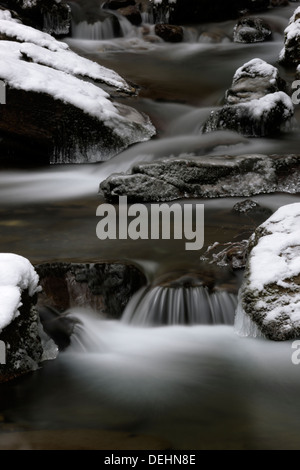 Ruscello di montagna con piccole cascate d'inverno. Foto Stock