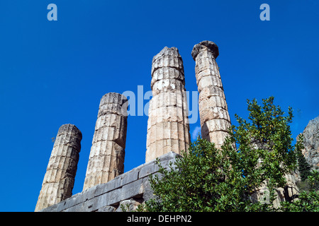 Tempio di Apollo a Delfi oracle sito archeologico in Grecia Foto Stock