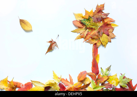 Foglie di autunno astratto con albero su sfondo bianco Foto Stock