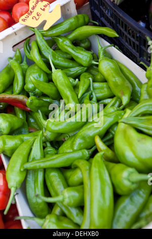 Close-up green peperoncino store Foto Stock