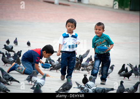 Tre giovani ragazzi alimentare i piccioni in Piazza centrale in Fusagasuga, Colombia, America del Sud. Foto Stock