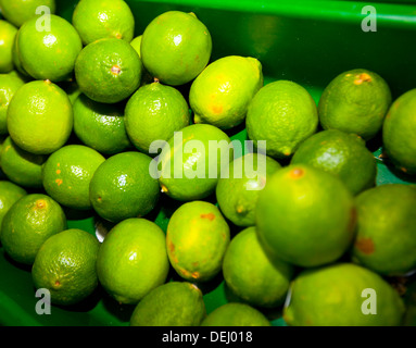 Close-up limoni verde sul display fruttivendolo Foto Stock
