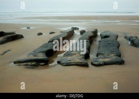 OREGON - arenaria erosa sul Beverly Beach Beverly Beach State Park vicino a Newport sulla costa dell'Oregon. Foto Stock