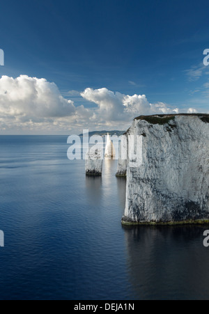 I pinnacoli. Chalk scogliere e mare pile a Ballard verso il basso. Jurassic Coast Sito Patrimonio Mondiale. Il Dorset. In Inghilterra. Regno Unito. Foto Stock