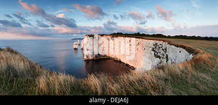 I pinnacoli. Chalk scogliere e mare pile a Ballard verso il basso. Jurassic Coast Sito Patrimonio Mondiale. Il Dorset. In Inghilterra. Regno Unito. Foto Stock