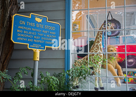 Woodstock, New York - uno di una serie di unofficial marcatori storico eretto da artista Norm Magnusson. Foto Stock