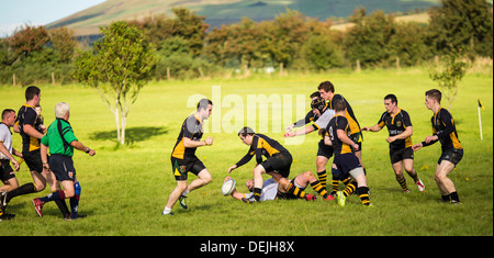 Rugby amatoriale, Ulster. Armoy V Letterkenny Foto Stock