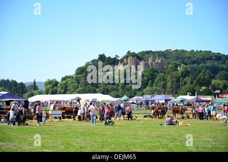 Il Dunster spettacolo agricolo, il Castello di Dunster Prati, Dunster, Somerset, Inghilterra, Regno Unito Foto Stock