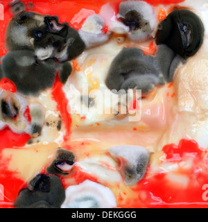 Il vecchio formaggio fuso è scaduto e stampato in grigio e il colore rosso Foto Stock