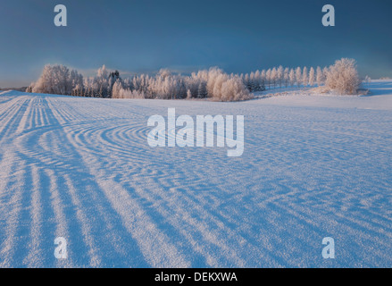 Tracce di pneumatici nel paesaggio innevato Foto Stock