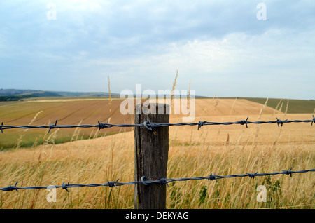 Filo spinato che corre lungo i campi di raccolto nel Sussex,Inghilterra. Foto Stock