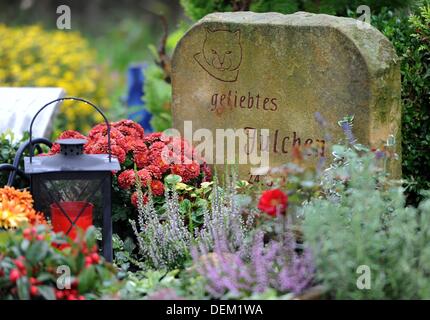 Tombe degli animali sono rappresentati presso il cimitero di pet a Berlino, Germania, 18 settembre 2013. Foto: Britta Pedersen Foto Stock