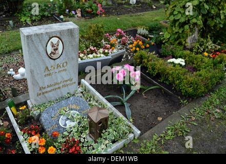 Tombe degli animali sono rappresentati presso il cimitero di pet a Berlino, Germania, 18 settembre 2013. Foto: Britta Pedersen Foto Stock