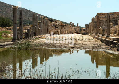 Lycian rovine presso il sito archeologico di Patara Turchia Foto Stock