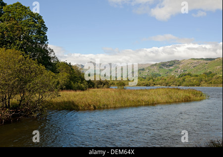 Vista da Elterwater verso Langdale Pikes in estate Lake District National Park Cumbria Inghilterra Regno Unito GB Gran Bretagna Foto Stock