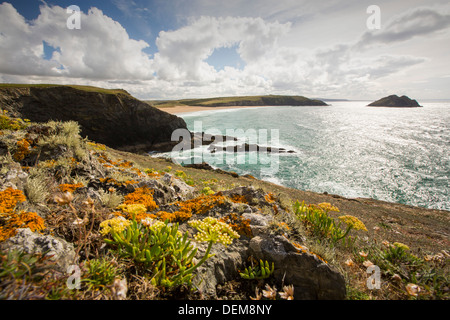 Guardando verso Hollywell spiaggia vicino a Newquay, Cornwall, Regno Unito. Foto Stock