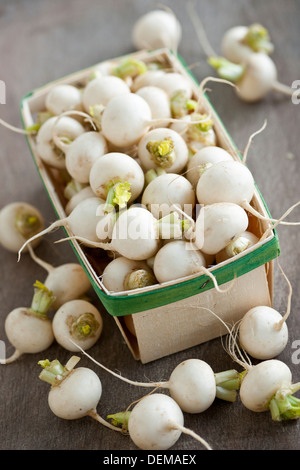 Molti piccoli e bianchi appena raccolto navoni nel cestello per la vendita sul mercato degli agricoltori Foto Stock