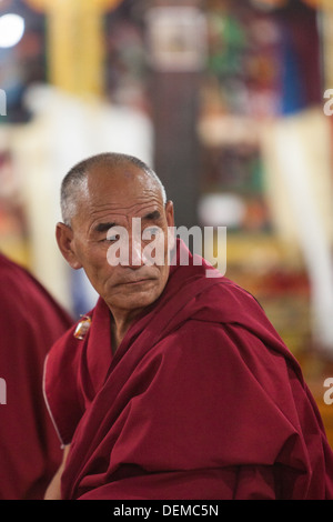 Un monaco buddista provincia del Ladakh. Himalaya indiano. Foto Stock