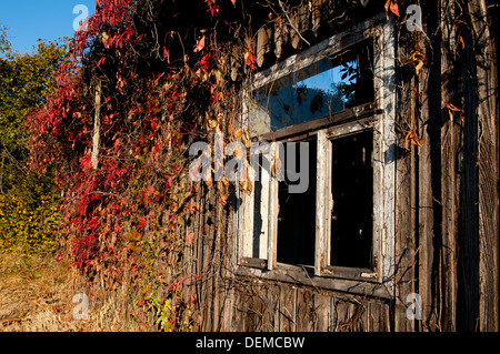 Vecchia baita in legno, Kopaniny, Gmina Włodowice, Zawiercie County, voivodato di Slesia, nel sud della Polonia Foto Stock